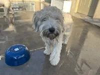 processed/d59dcd85-89b6-44df-82e9-5df6e08aafbf/listing/72f4dcec-40e5-4e04-8e58-f1d7aee7ddfa/02978d67-99df-4fa7-bd31-b2adaa6a38f6