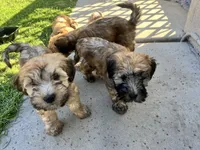 processed/d59dcd85-89b6-44df-82e9-5df6e08aafbf/listing/72f4dcec-40e5-4e04-8e58-f1d7aee7ddfa/0360df6f-d677-42b9-9cad-378d53010706