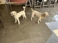 processed/d59dcd85-89b6-44df-82e9-5df6e08aafbf/listing/72f4dcec-40e5-4e04-8e58-f1d7aee7ddfa/30a6e58f-90ac-4307-9379-7deae9cb0e4a