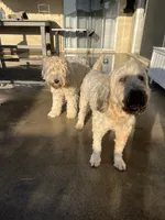 processed/d59dcd85-89b6-44df-82e9-5df6e08aafbf/listing/72f4dcec-40e5-4e04-8e58-f1d7aee7ddfa/4220ff45-67b6-41cc-9178-a7d3182ce346