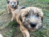 processed/d59dcd85-89b6-44df-82e9-5df6e08aafbf/listing/72f4dcec-40e5-4e04-8e58-f1d7aee7ddfa/480a070b-1594-4f15-9eb0-b779c2b9d3bc