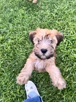 processed/d59dcd85-89b6-44df-82e9-5df6e08aafbf/listing/72f4dcec-40e5-4e04-8e58-f1d7aee7ddfa/54d270bd-6754-4cdf-8640-2db5d8523482