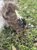 processed/d5a52be0-546f-461e-a1e7-3a502056083d/listing/9461fe70-e2ad-44ab-949f-ce5305a1a8bd/6c6376df-fc2f-4144-b4c3-24bc5fe344ac