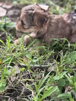 processed/d5a52be0-546f-461e-a1e7-3a502056083d/listing/9461fe70-e2ad-44ab-949f-ce5305a1a8bd/aa9d57a4-d205-402c-8cca-99025d513d3a