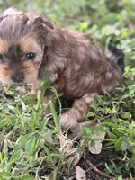 processed/d5a52be0-546f-461e-a1e7-3a502056083d/listing/9461fe70-e2ad-44ab-949f-ce5305a1a8bd/baf54ec9-71c5-4698-b217-853759c80f3c