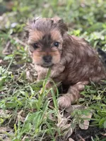 processed/d5a52be0-546f-461e-a1e7-3a502056083d/listing/9461fe70-e2ad-44ab-949f-ce5305a1a8bd/c4173f8e-8909-4608-bd51-51d4a06a5125