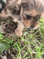 processed/d5a52be0-546f-461e-a1e7-3a502056083d/listing/9461fe70-e2ad-44ab-949f-ce5305a1a8bd/e4ef95d8-a4d9-499e-968e-980164c054c7