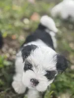 processed/d5a52be0-546f-461e-a1e7-3a502056083d/listing/c4190110-7154-40bd-bae5-0ae0f627dc35/2eb3bed5-f345-46b4-a2a7-2c1463c29d10