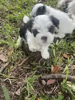 processed/d5a52be0-546f-461e-a1e7-3a502056083d/listing/c4190110-7154-40bd-bae5-0ae0f627dc35/45a0038e-2f24-48f1-8690-5733a7e8192d