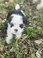 processed/d5a52be0-546f-461e-a1e7-3a502056083d/listing/c4190110-7154-40bd-bae5-0ae0f627dc35/4a0c98ac-f575-4439-b775-fb05c0a37879