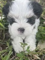 processed/d5a52be0-546f-461e-a1e7-3a502056083d/listing/c4190110-7154-40bd-bae5-0ae0f627dc35/759d9cd3-2739-4532-847c-e470b8cb7e61