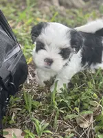 processed/d5a52be0-546f-461e-a1e7-3a502056083d/listing/c4190110-7154-40bd-bae5-0ae0f627dc35/e3ea38d8-8791-4e1f-a931-fb47fe267f80