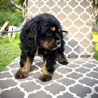 processed/d5ab0432-4787-4343-b220-b898dd877d30/facility/e3bd5832-6999-4bc2-93a2-2fb0acab2f51