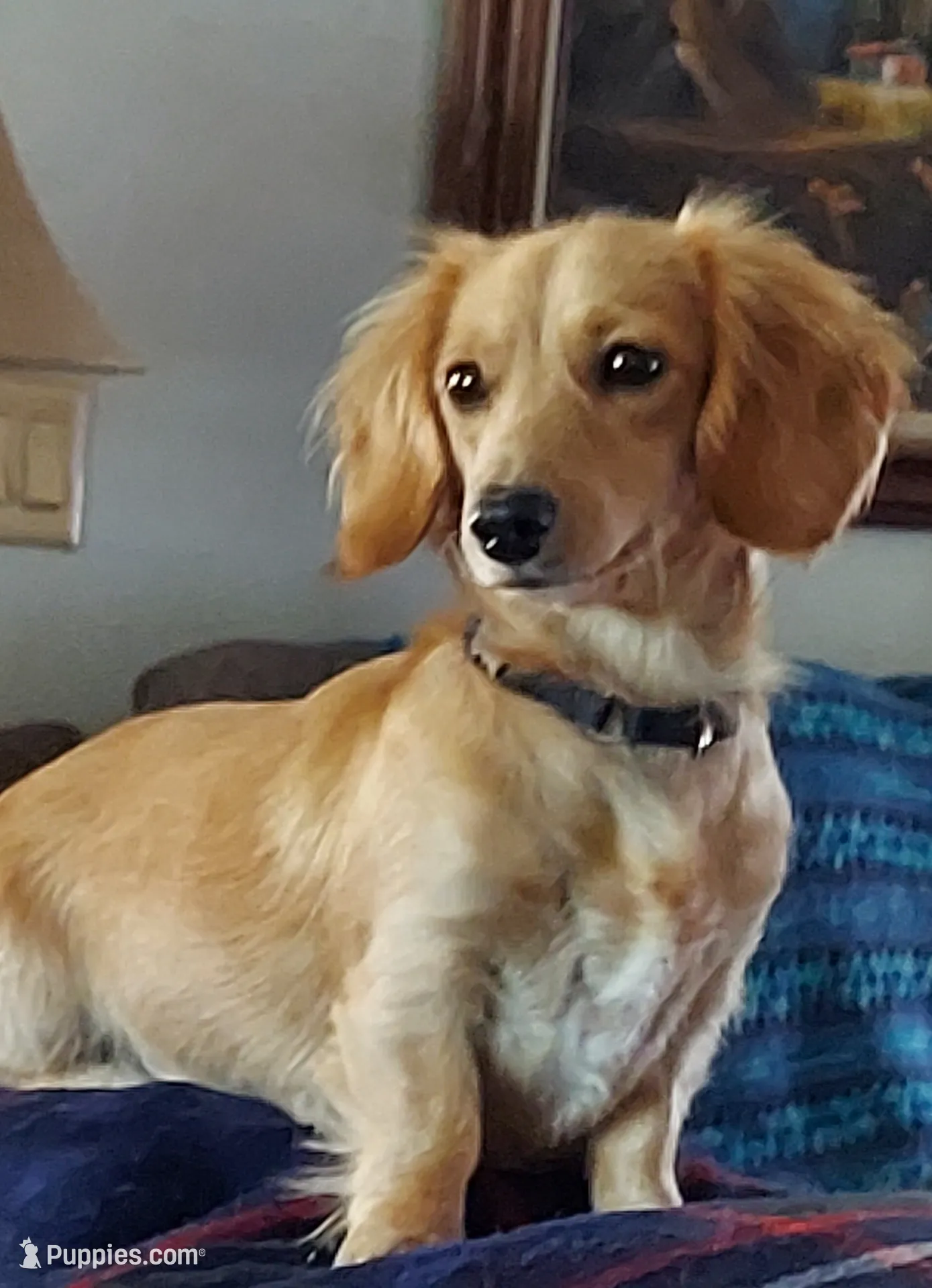 processed/d5addf42-400d-4fbb-8163-eb1cfab9b89a/facility/454bf55b-d422-4104-9310-b0be42e8f09c