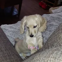 processed/d5addf42-400d-4fbb-8163-eb1cfab9b89a/facility/5216b4fd-62b9-444f-bf91-db8aed4d7d09