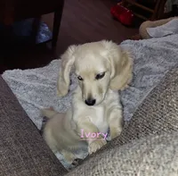 processed/d5addf42-400d-4fbb-8163-eb1cfab9b89a/facility/5216b4fd-62b9-444f-bf91-db8aed4d7d09