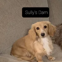 processed/d5addf42-400d-4fbb-8163-eb1cfab9b89a/facility/5c990437-5fce-4fe6-877a-368357003059