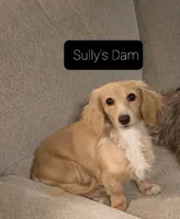 processed/d5addf42-400d-4fbb-8163-eb1cfab9b89a/facility/5c990437-5fce-4fe6-877a-368357003059