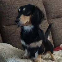 processed/d5addf42-400d-4fbb-8163-eb1cfab9b89a/facility/68004a01-eb8b-4afb-ac15-b8b494008433