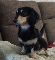 processed/d5addf42-400d-4fbb-8163-eb1cfab9b89a/facility/68004a01-eb8b-4afb-ac15-b8b494008433