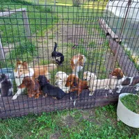 processed/d5addf42-400d-4fbb-8163-eb1cfab9b89a/facility/6ddc7a2f-f4d7-40c8-b7d5-e151ab4f5d84