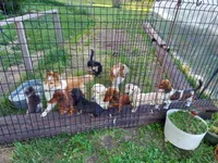 processed/d5addf42-400d-4fbb-8163-eb1cfab9b89a/facility/6ddc7a2f-f4d7-40c8-b7d5-e151ab4f5d84