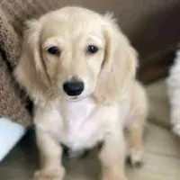 processed/d5addf42-400d-4fbb-8163-eb1cfab9b89a/facility/78acd997-2a34-4f19-8dec-77e1b6bab6bc