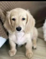 processed/d5addf42-400d-4fbb-8163-eb1cfab9b89a/facility/78acd997-2a34-4f19-8dec-77e1b6bab6bc