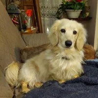 processed/d5addf42-400d-4fbb-8163-eb1cfab9b89a/facility/88dc0369-c3ad-4376-9662-b52b393de7dd