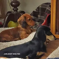 processed/d5addf42-400d-4fbb-8163-eb1cfab9b89a/facility/91a96280-eda1-42a9-8983-6c0be12d16b0