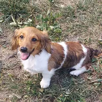 processed/d5addf42-400d-4fbb-8163-eb1cfab9b89a/facility/c2a40310-8ee2-4ef8-89ff-a88882fe8908