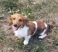 processed/d5addf42-400d-4fbb-8163-eb1cfab9b89a/facility/c2a40310-8ee2-4ef8-89ff-a88882fe8908