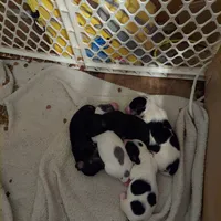 processed/d5addf42-400d-4fbb-8163-eb1cfab9b89a/facility/f9659412-f3f5-4bab-9fc8-ecf475091955