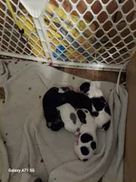 processed/d5addf42-400d-4fbb-8163-eb1cfab9b89a/facility/f9659412-f3f5-4bab-9fc8-ecf475091955