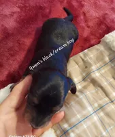 processed/d5addf42-400d-4fbb-8163-eb1cfab9b89a/listing/3356e766-8d96-45a9-b790-8a71cd5dc48f/40df3c70-ce1c-4707-8b41-7d49e0845b09