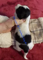 processed/d5addf42-400d-4fbb-8163-eb1cfab9b89a/listing/4a3f45f2-09c4-4aaf-af76-e4de990f4476/e97b8161-2054-42cd-9901-d21274c4d084