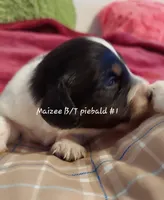 processed/d5addf42-400d-4fbb-8163-eb1cfab9b89a/listing/4a3f45f2-09c4-4aaf-af76-e4de990f4476/f2d68d6c-c1be-4c64-9898-cc70effe10ca