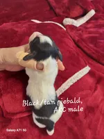 processed/d5addf42-400d-4fbb-8163-eb1cfab9b89a/listing/4a3f45f2-09c4-4aaf-af76-e4de990f4476/fb98be78-8d7b-476b-886c-d15930a2ae5a