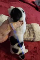 processed/d5addf42-400d-4fbb-8163-eb1cfab9b89a/listing/4a8e0071-c43a-4556-bd22-73b3ecbe6878/047124db-8095-4a28-90cf-dc4fe6bdef01