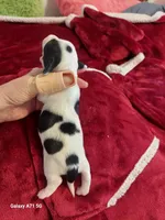 processed/d5addf42-400d-4fbb-8163-eb1cfab9b89a/listing/4a8e0071-c43a-4556-bd22-73b3ecbe6878/8687b155-2526-44eb-9dc8-38dedf06e62c