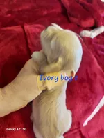 processed/d5addf42-400d-4fbb-8163-eb1cfab9b89a/listing/8eb00f51-ff18-41ff-814b-7a759e95e148/74109dca-0226-4a10-a48b-6de77568b634