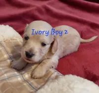 processed/d5addf42-400d-4fbb-8163-eb1cfab9b89a/listing/8eb00f51-ff18-41ff-814b-7a759e95e148/7daaae0a-baec-4724-9a10-cd46c774ad02