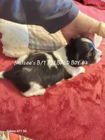 processed/d5addf42-400d-4fbb-8163-eb1cfab9b89a/listing/fea7700f-c87b-43c9-8be7-e94b25b596dc/82430d30-e5e8-47a9-80ab-9aa548845e2a