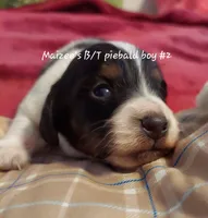 processed/d5addf42-400d-4fbb-8163-eb1cfab9b89a/listing/fea7700f-c87b-43c9-8be7-e94b25b596dc/e87ae797-1f4a-475b-8d63-58d681ccf015