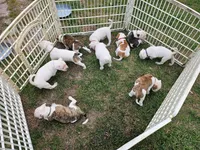 processed/d5d2b3e6-e880-42c4-8454-1fd2f537b251/facility/51bcbb95-4514-46b8-a228-633a2c9558f5