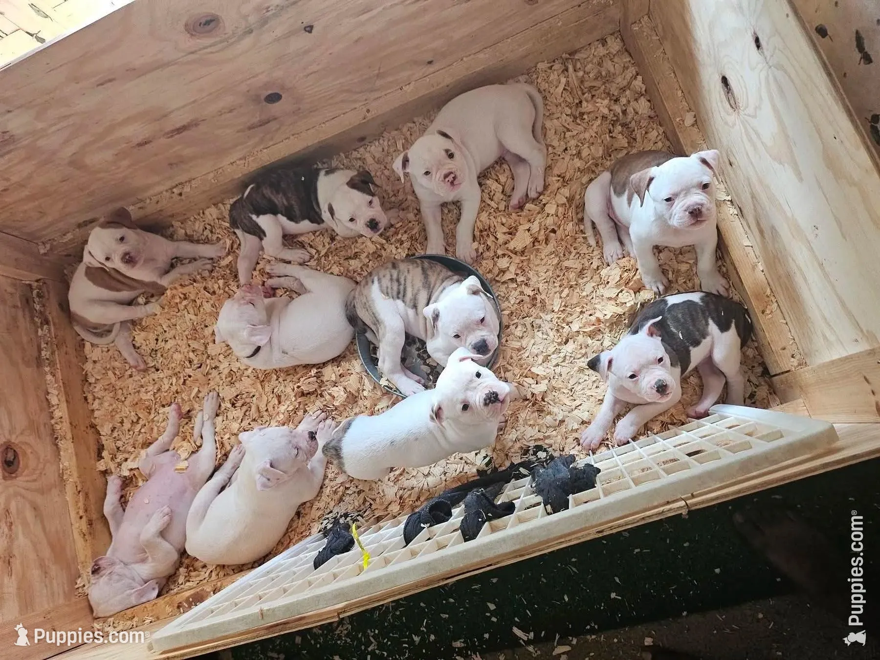 processed/d5d2b3e6-e880-42c4-8454-1fd2f537b251/facility/9bcd1ff8-d359-4c80-9d8e-caff90518ccb