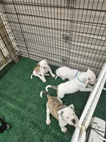 Facility photo