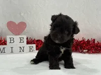 processed/d5d4b798-4281-47cf-9805-904c880f67b2/listing/dcefa8f3-9ffb-401b-adeb-72a815b0076e/0e504dc7-3dd6-435c-985e-8109f25781ee