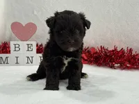 processed/d5d4b798-4281-47cf-9805-904c880f67b2/listing/dcefa8f3-9ffb-401b-adeb-72a815b0076e/3d3bb561-ad66-483b-b070-0b06043eb723