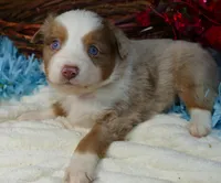 processed/d5d73fbf-a9b3-4b51-a8de-491caa86f1d3/listing/1532e5f1-1467-4f01-9736-ef30f2d585ae/65dbeac8-3391-4d19-8614-4e4cd151f0f4